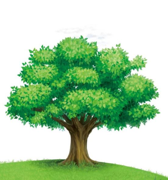 1622688939433923.png image.png